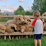 Taterniok - Z Widokiem Na Tatry