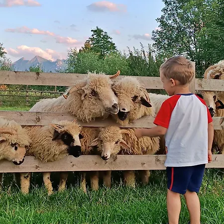 Taterniok - Z Widokiem Na Tatry